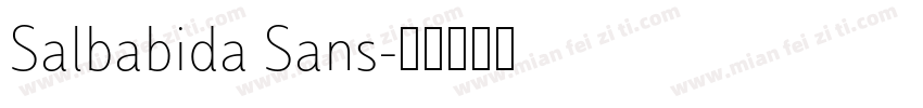 Salbabida Sans字体转换